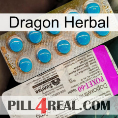 Dragon Herbal new07